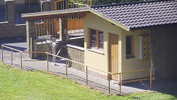 Pokladna