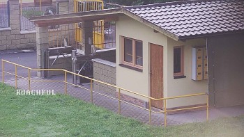 Koupaliště Rusava