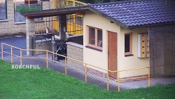 Pokladna