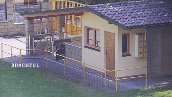 Koupaliště Rusava