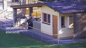 Koupaliště Rusava