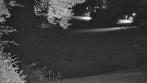 Skiareál Karolinka  - Město Karolinka - 15.8.2025 v 00:55