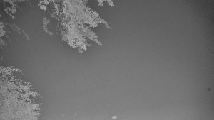 Skiareál Karolinka  - Město Karolinka - 13.6.2026 v 03:55