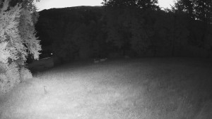 Skiareál Karolinka  - Prostřední část sjezdovky a snowpark - 21.6.2025 v 03:32