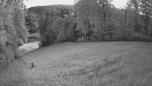 Skiareál Karolinka  - Prostřední část sjezdovky a snowpark - 21.6.2025 v 04:05