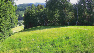 Skiareál Karolinka  - Prostřední část sjezdovky a snowpark - 21.6.2025 v 08:55