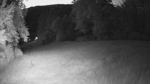 Skiareál Karolinka  - Prostřední část sjezdovky a snowpark - 21.6.2025 v 22:02