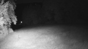 Skiareál Karolinka  - Prostřední část sjezdovky a snowpark - 1.7.2025 v 00:55