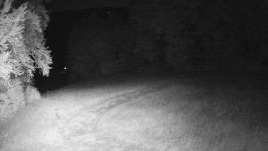 Skiareál Karolinka  - Prostřední část sjezdovky a snowpark - 5.7.2025 v 01:55