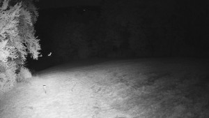Skiareál Karolinka  - Prostřední část sjezdovky a snowpark - 15.8.2025 v 01:55