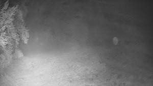 Skiareál Karolinka  - Prostřední část sjezdovky a snowpark - 13.9.2025 v 00:55