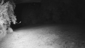 Skiareál Karolinka  - Prostřední část sjezdovky a snowpark - 13.9.2025 v 19:55
