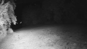 Snímek    13.9.2025 v 23:55