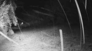 Skiareál Karolinka  - Prostřední část sjezdovky a snowpark - 16.9.2025 v 03:55