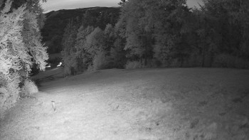 Snímek    16.9.2025 v 19:35