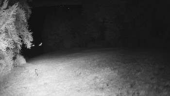 Snímek    19.9.2025 v 04:15