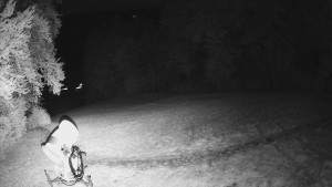 Skiareál Karolinka  - Prostřední část sjezdovky a snowpark - 14.10.2025 v 02:55