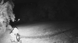 Skiareál Karolinka  - Prostřední část sjezdovky a snowpark - 14.10.2025 v 04:55