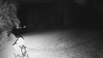 Snímek    1.11.2025 v 05:25