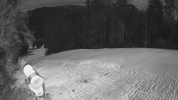 Prostřední část sjezdovky a snowpark