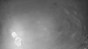 Skiareál Karolinka - Prostřední část sjezdovky a snowpark - 13.12.2025 v 23:55 Skiareál Karolinka - Prostřední část sjezdovky a snowpark - 13.12.2025 v 23:55