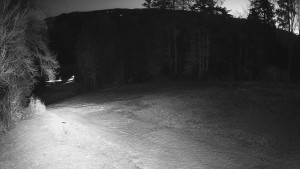 Skiareál Karolinka  - Prostřední část sjezdovky a snowpark - 19.3.2026 v 04:55