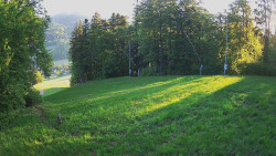 Prostřední část sjezdovky a snowpark