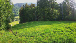 Prostřední část sjezdovky a snowpark