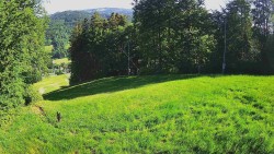 Prostřední část sjezdovky a snowpark