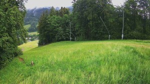 Skiareál Karolinka  - Prostřední část sjezdovky a snowpark - 13.6.2026 v 09:20