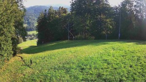Ośrodek narciarski Karolinka - Środkowa część trasy zjazdowej i snowpark - 8.8.2026 v 07:55 Ośrodek narciarski Karolinka - Środkowa część trasy zjazdowej i snowpark - 8.8.2026 v 07:55