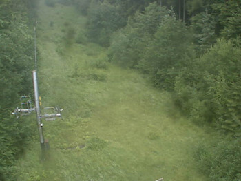 Snímek    7.7.2025 v 07:29