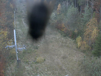 Snímek    1.11.2025 v 15:29