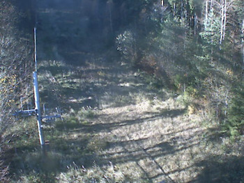 Snímek 6.11.2025 v 13:29