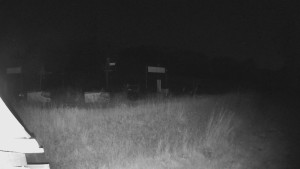 Skiareál Lázeňský vrch - Sjezdovka - 30.6.2025 v 22:59
