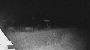Skiareál Lázeňský vrch - Sjezdovka - 30.6.2025 v 23:59