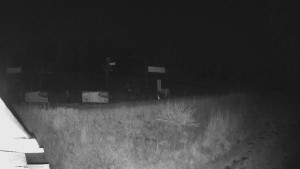Skiareál Lázeňský vrch - Sjezdovka - 15.8.2025 v 01:59