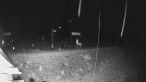 Skiareál Lázeňský vrch - Sjezdovka - 15.5.2026 v 02:49