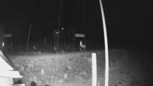 Skiareál Lázeňský vrch - Sjezdovka - 15.5.2026 v 02:54