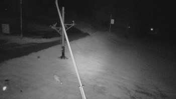 Snímek    2.8.2025 v 03:00