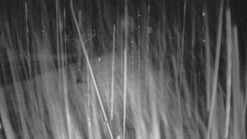 Snímek    13.9.2025 v 21:30
