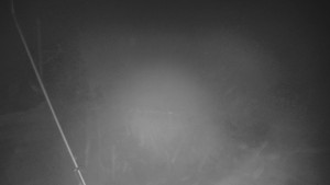 Skiareál Troják - Otočná kamera, svah A - 24.1.2026 v 05:30