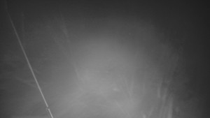 Skiareál Troják - Otočná kamera, svah A - 24.1.2026 v 06:30