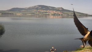 CHKO Pálava - Pálava, Nové Mlýny - 14.6.2025 v 09:45