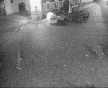 Snímek    14.9.2025 v 23:30