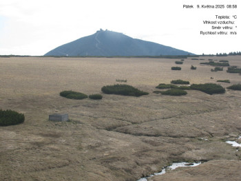 Snímek    9.5.2025 v 09:00