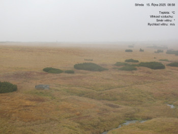 Snímek    15.10.2025 v 09:00