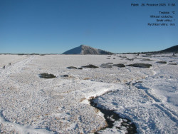 Luční bouda, pramen Bílého Labe