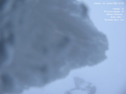 Luční bouda, pramen Bílého Labe