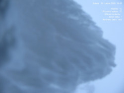 Luční bouda, pramen Bílého Labe